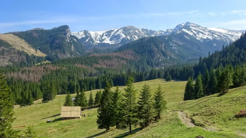 Podhale i Tatry: gdzie najlepiej nocować, żeby połączyć Zakopane i spokojne termy?