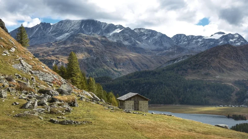 Promocje last minute: jak szybko ocenić, czy oferta na zakopane domki wynajem jest uczciwa?