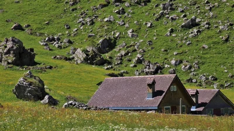 Kościelisko: domki Zakopane Kościelisko – spokojniejsza alternatywa na rodzinny wyjazd
